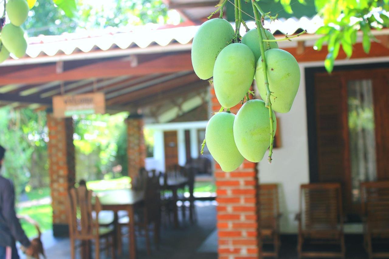 אנוראדפורה Green Cottage מראה חיצוני תמונה