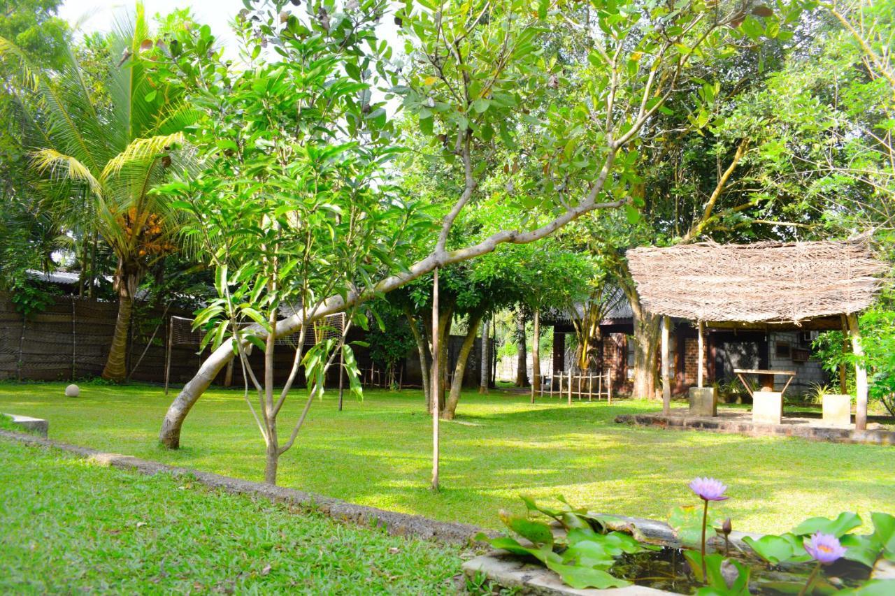 אנוראדפורה Green Cottage מראה חיצוני תמונה