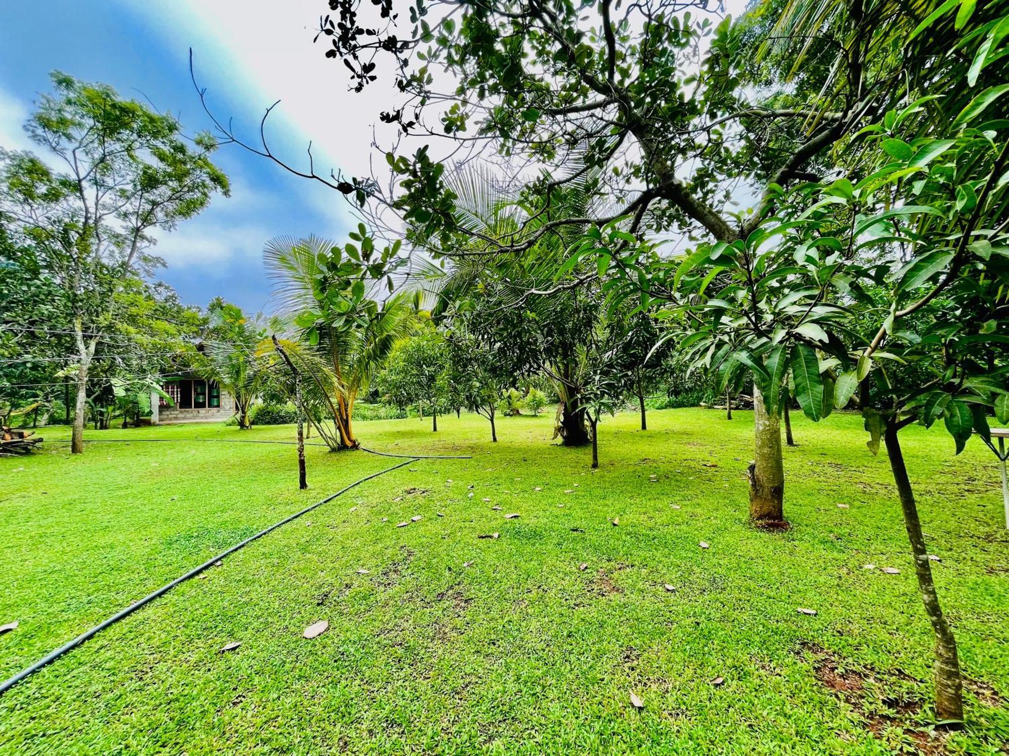 אנוראדפורה Green Cottage מראה חיצוני תמונה